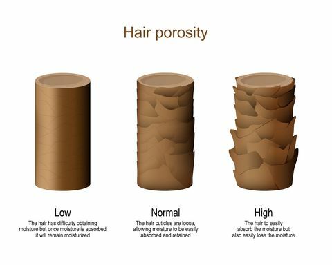 porozitatea părului dificultate scăzută de a obține umiditate normală permițând umidității să fie ușor absorbită și reținută părul ridicat pentru a pierde ușor umiditatea