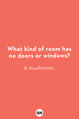 o ghicitoare pentru copii care spune q ce fel de cameră nu are uși sau ferestre o ciupercă
