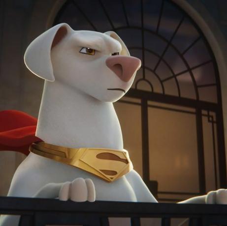 DC League of Super Pets în cele mai bune filme pentru copii 2022